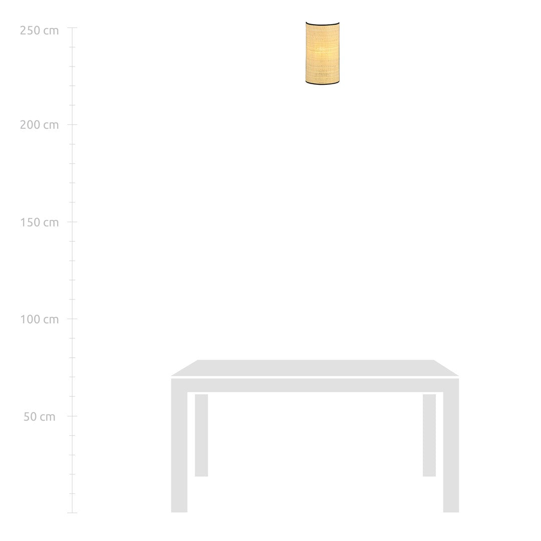 ASTON Sieninis šviestuvas Juoda 1 - apšvietimas