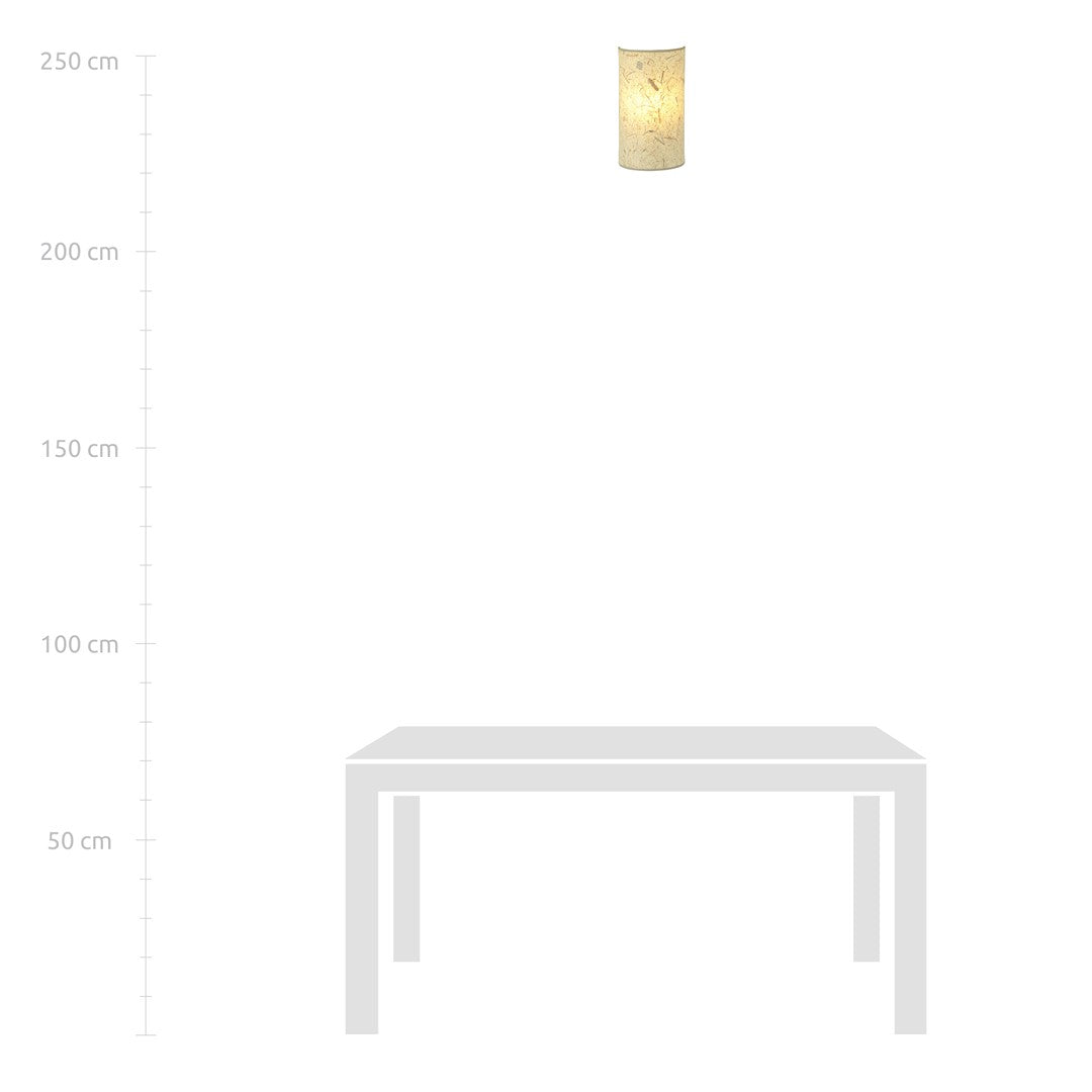 ASTON Sieninis šviestuvas Juoda 1 - apšvietimas