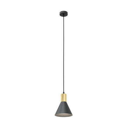ROSA Pakabinamas šviestuvas Black, gold 1 - bendras vaizdas